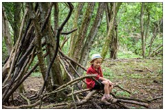 Nikki and Jason's Visit July 031  Anglesey Abbey woods