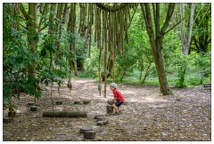 Nikki and Jason's Visit July 034  Anglesey Abbey Woods