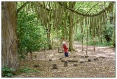 Nikki and Jason's Visit July 035  Anglesey Abbey woods