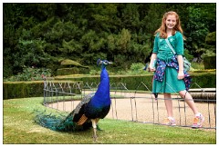 Nikki and Jason's Visit July 071  Peacock Garden