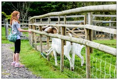 Nikki and Jason's Visit July 090  Abantu Cafe in Bourne