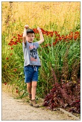 Nikki and Jason's Visit July 097  Wimpole Hall Walled Garden - Jason