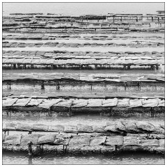 Image 04  The Oyster Farm