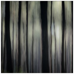 Image 06  Colourful Trees 1