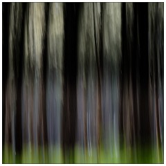 Image 07  Colourful Trees 2