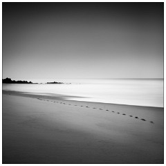 Image 08  Footprints in the Sand
