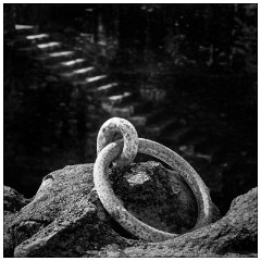 Image 19  The Harbour ring