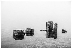 Image 29  Posts in sunlight