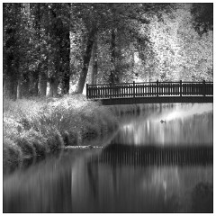 Image 33  Vieux-Boucau-les-Bains