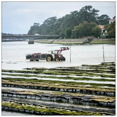 France 15  The Oyster Farm on the Lake