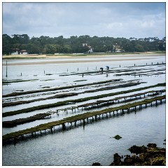 France 16  The Oyster Farm on the Lake