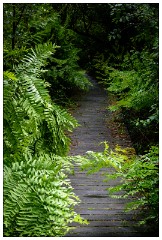 France 19  The Nature Reservede l'Etang Noir