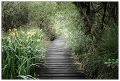 France 20  The Nature Reservede l'Etang Noir
