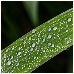 France 21  The Nature Reservede l'Etang Noir