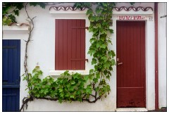 France 27  Fishermans Harbour Biarritz