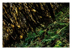 La Gomera 064  Raso de la Bruma views