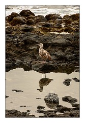 La Gomera 007  Enjoying the day