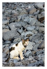 La Gomera 010  Enjoying the beach
