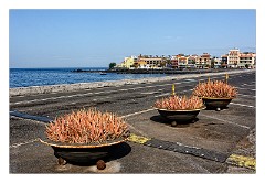 La Gomera 013  Walking towards the harbour