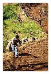 La Gomera 088  Chipude - working the land