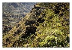 La Gomera 094  Views from Chipude