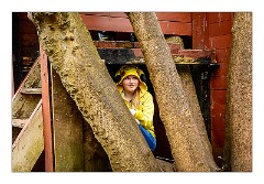 Anglesey Abbey 04  Another Tree House