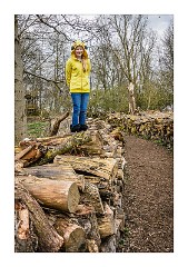 Anglesey Abbey 05  On the Log Wall