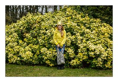 Anglesey Abbey 10  Camouflaged