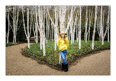 Anglesey Abbey 14  The Winter Garden
