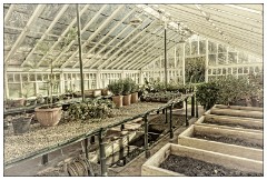 Montages in an Essex Garden December