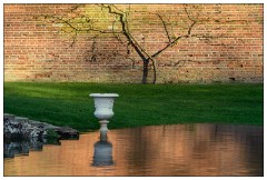 Montages in an Essex Garden 03 copy  The Flooded Swimming Pool