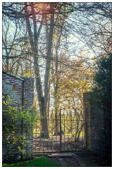 Montages in an Essex Garden 04 copy  Gateway to the woods