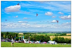 Royston Kite Festival August