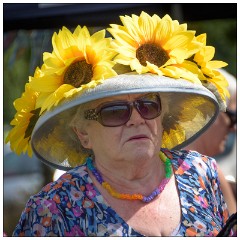 Royston Kite Festival 04  A Summers day