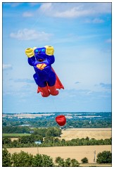 Royston Kite Festival 08  Fun Kites