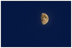 Summer Competition 05  ISOLATED - The Moon