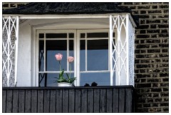 London Docklands 20  The Thames Pathway