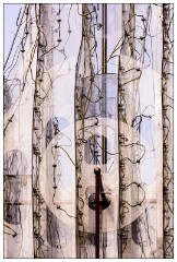 London Docklands 43  The close up of the light bulb