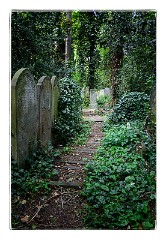 London Mile End 10  Tower Hamlets Cemetery Park  Thirty one acres of beautiful and atmospheric woodland in the heart of East London. Opened in 1841, The City of London and Tower Hamlets Cemetery, one of the Magnificent Seven Victorian cemeteries, is now a designated park, Local Nature Reserve and Site of Metropolitan Importance for Nature Conservation.