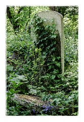 London Mile End 11  Tower Hamlets Cemetery Park