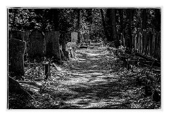 London Mile End 14  Tower Hamlets Cemetery Park