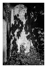 London Mile End 17  Tower Hamlets Cemetery Park