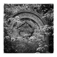 London Mile End 18  Tower Hamlets Cemetery Park