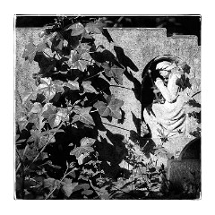 London Mile End 19  Tower Hamlets Cemetery Park