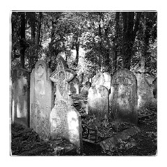 London Mile End 21  Tower Hamlets Cemetery Park