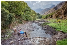 Imlil Valley, Atlas Mountains 01  Mules taking a break