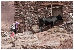 Imlil Valley, Atlas Mountains 09  Home at last