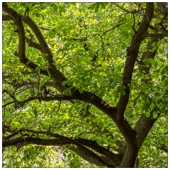 Imlil Valley, Atlas Mountains 29  Imlil