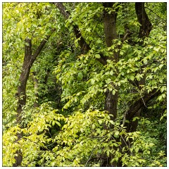 Imlil Valley, Atlas Mountains 30  Imlil