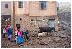 Imlil Valley, Atlas Mountains 62  Its raining so the women and children are bringing the animals home